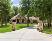 27707 Ossineke Drive, Spring image