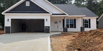 102 Caylee, Chesnee