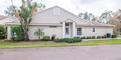 4177 Chesterfield Circle, Palm Harbor