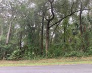 6380 W Goldenleaf Lane, Crystal River image