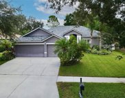 1156 Lumsden Trace Circle, Valrico image