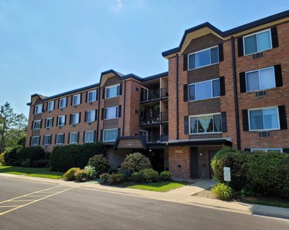 1206 S New Wilke Road Unit #403, Arlington Heights