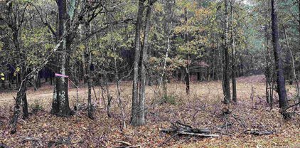 325 Gwinn Mill Rd., Pauline