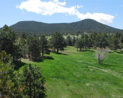 1098 Silverheels, Larkspur