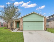 22007 Willow Shadows Drive, Tomball image