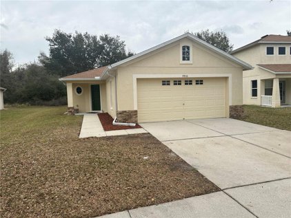 9910 Edmonton Drive, Land O' Lakes