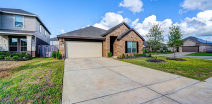 14207 Amhearst Meadow Trail, Rosharon