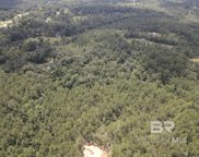 County Road 138, Bay Minette image
