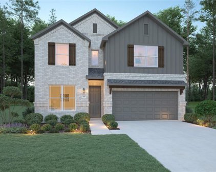 1006 Thor, New Caney