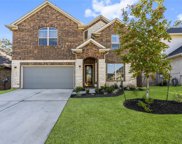 351 Silver Carp Trail, Willis image