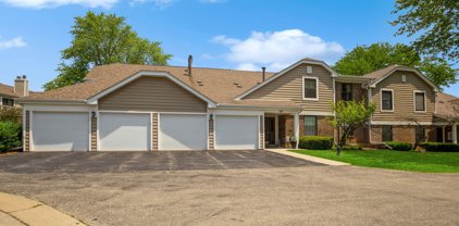 107 Sussex Circle Unit #B2, Schaumburg
