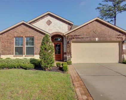 14011 Routt Forest Trail, Conroe