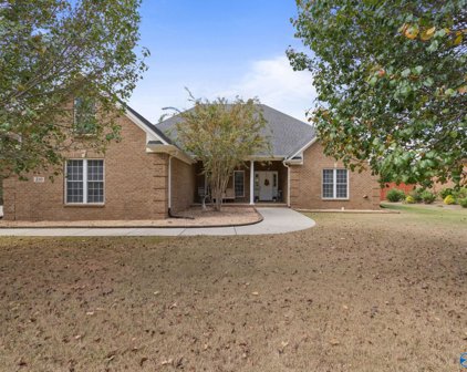 210 Slater Court, Huntsville