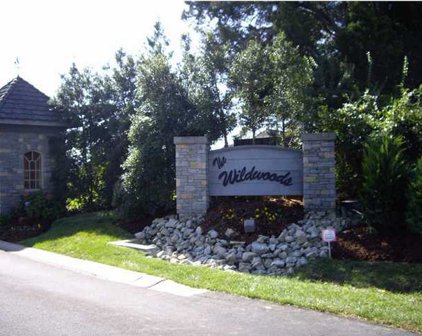 Woodland Pass Unit LOT 88, Mt Washington