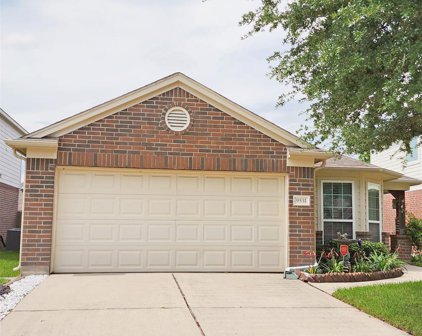 9531 Barr Spring Drive, Humble