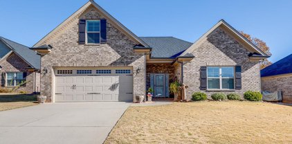 18 Ana Rose Court, Greer