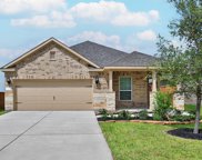 6175 White Spruce Drive, Conroe image