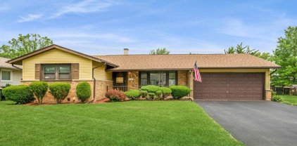 590 Pinewood Drive, Elk Grove Village