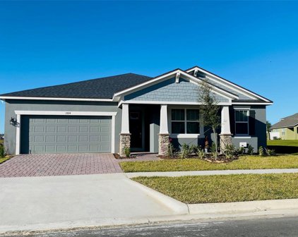 3324 Canna Lily Place, Clermont