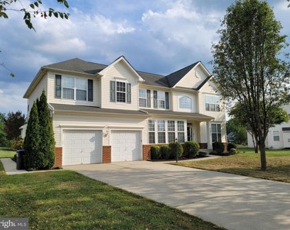 25917 Spring Farm Cir, Chantilly