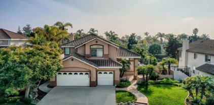 969     Whimbrel Court, Carlsbad