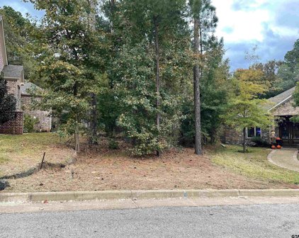 5716 Fern Cove Terrace, Tyler