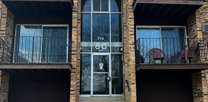 710 Hill Drive Unit #8-306, Hoffman Estates