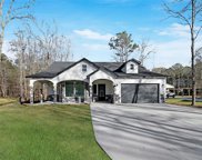 17007 N Mesa Drive, Splendora image