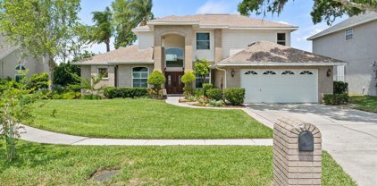 16521 Cayman Drive, Tampa