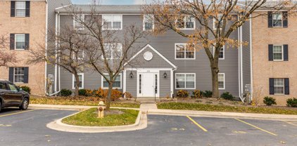 122 E Winchester Road Unit #E, Libertyville