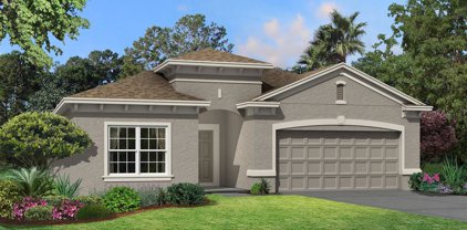 9342 Crescent Ray Drive, Wesley Chapel