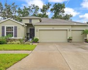 10409 Pleasant Spring Way, Riverview image