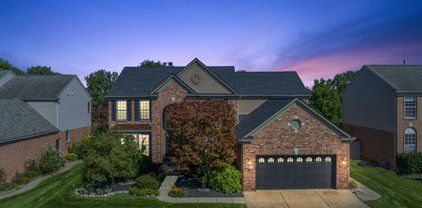 34642 GIANNETTI, Sterling Heights