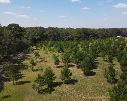 1454 Middleton Road, Dothan