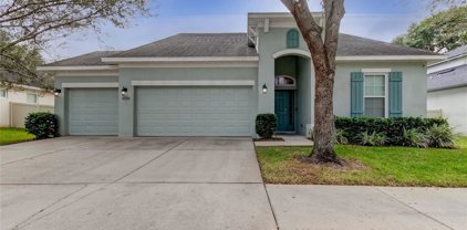 308 Montara Drive, Seffner
