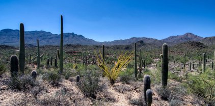 6675 W Wasson Vista Unit #-, Tucson
