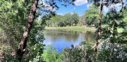 26209 Moose Drive, Hempstead