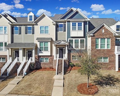 206 Butterfly  Place, Tega Cay