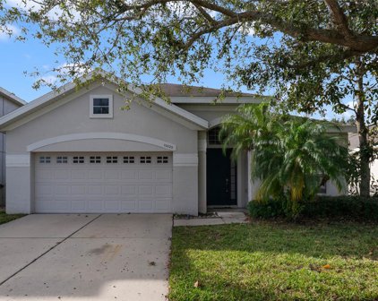10220 Cypress Trail Drive, Orlando
