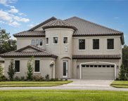 14437 Swiss Bridge Drive, Lithia image