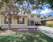 9013 Cormorant Court, Tampa image