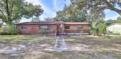 8702 N Orangeview Avenue, Tampa