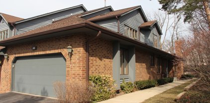 1162 Mistwood Court, Downers Grove