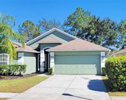 1048 Rosefaire Place, Odessa image