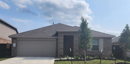 21562 Starry Night Drive, New Caney