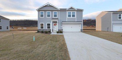 TBD Lot 161 Diving Scaup Road, Hedgesville
