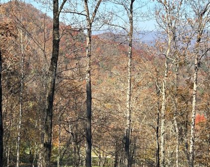 Bent Grass Way - Lot J55, Clayton