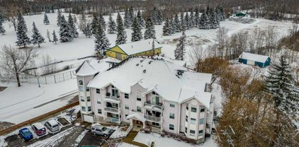 5435 Lakeshore Drive Unit 304, Red Deer County