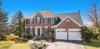 5213 Hillmont   Court, Ellicott City