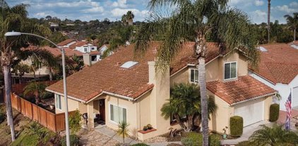 1669 Landquist Drive, Encinitas